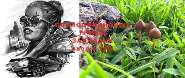 прущая мука Козельск